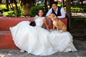Sesión-Postboda-314