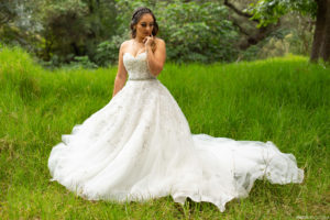 Novia